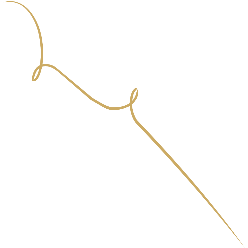 Dein Reisebüro für tropische Inseln Goldlinie 4