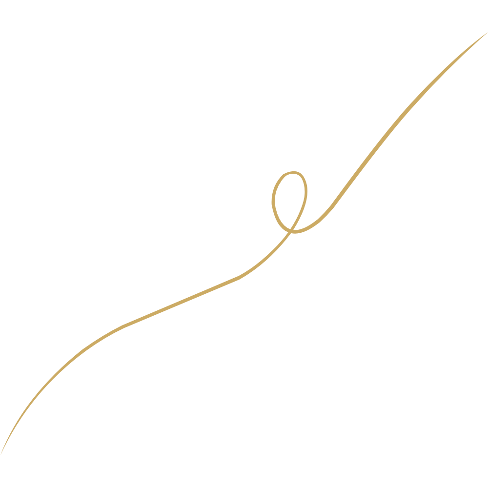 Dein Reisebüro für tropische Inseln Goldlinie 5