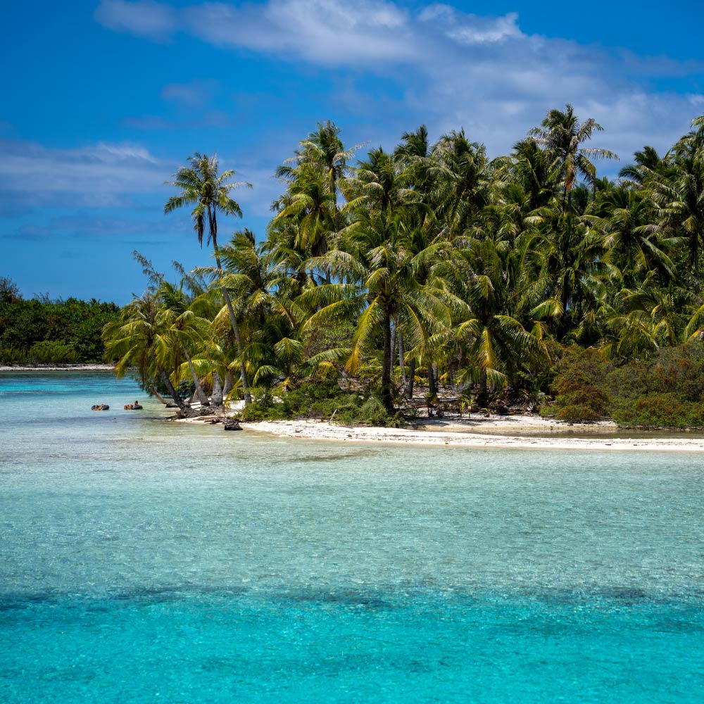 Dein Reisebüro für tropische Inseln Tropische Inseln Palmen