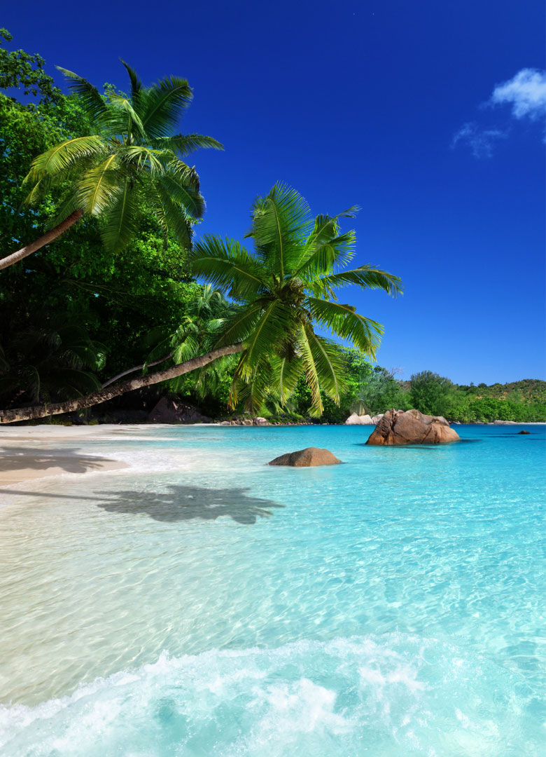 Trauminseln: Urlaub auf den Seychellen
